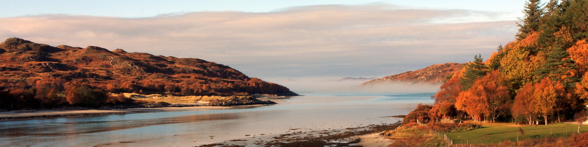 Greetings from Traveleads