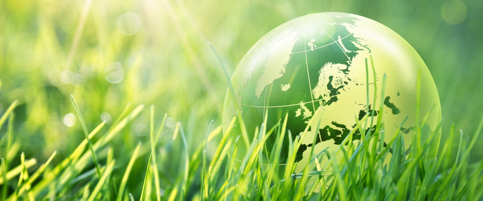 Green Policy and Sustainability